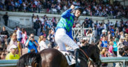 Grand Steeple Chase 2019 zeturf