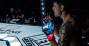 Hexagone MMA avec Metal Boxe